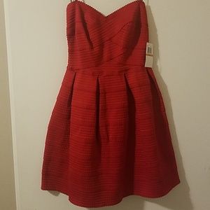 Nwt Strapless Dress